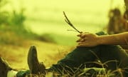 Tâm sự nụ cười bị đánh cắp từ khi tôi sinh ra